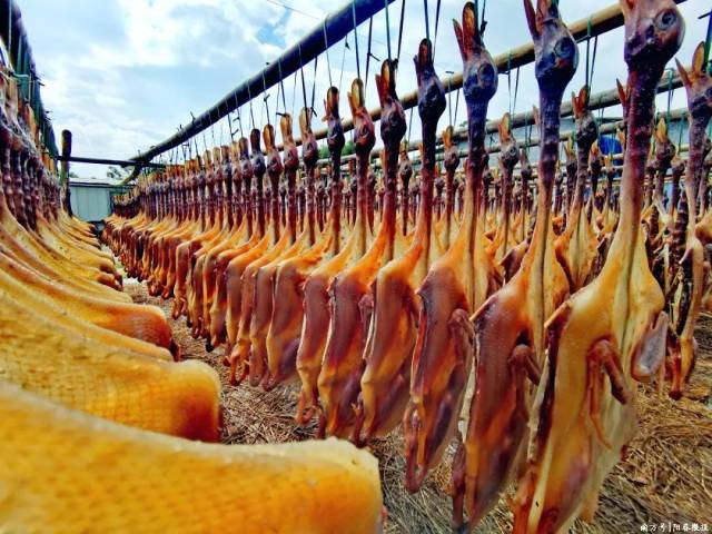 Songgang Preserved Duck-shenzhen Songgang Preserved Duck-shenzhen